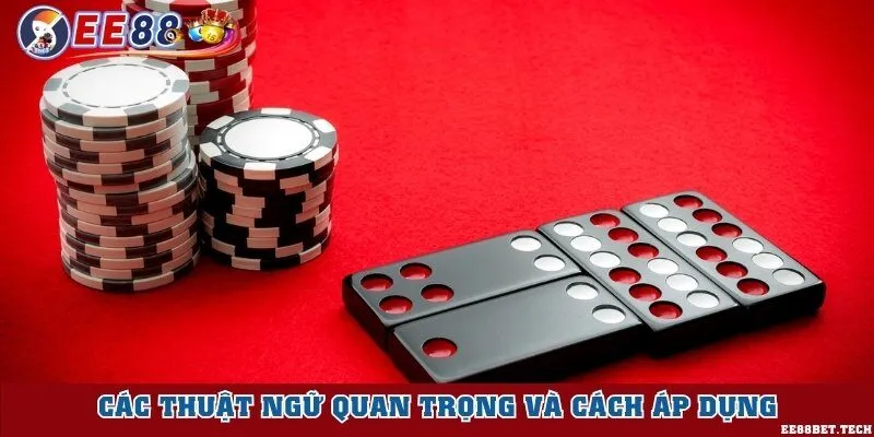 Các thuật ngữ quan trọng và cách áp dụng
