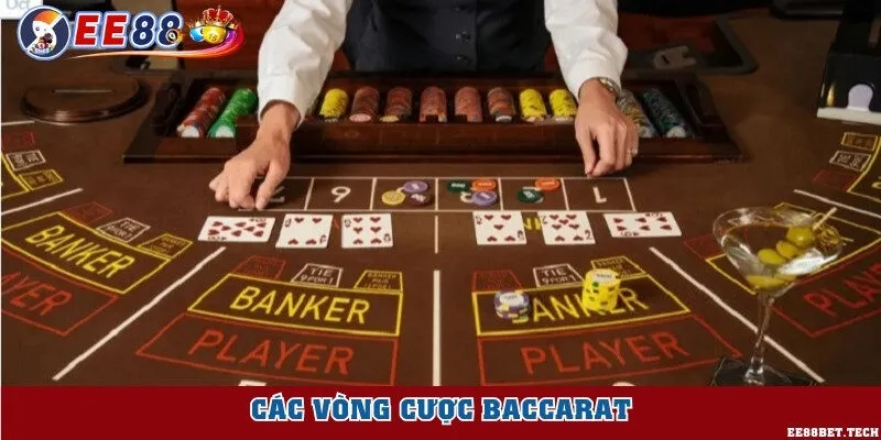 Các vòng cược baccarat