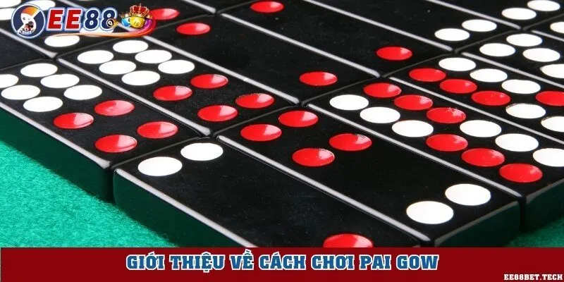 Giới thiệu về cách chơi pai gow