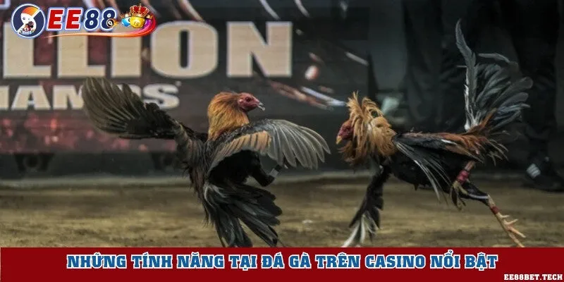 Những tính năng tại đá gà trên casino nổi bật