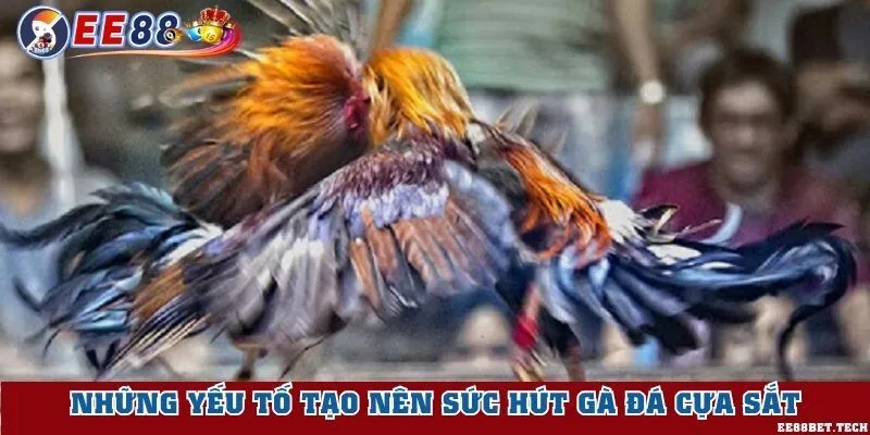Những yếu tố tạo nên sức hút gà đá cựa sắt