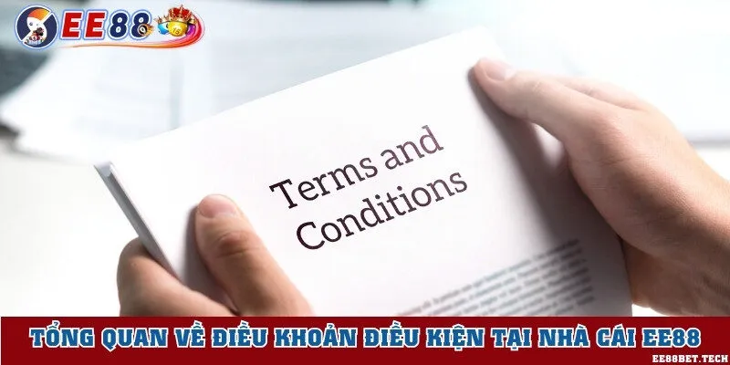Tìm hiểu khái niệm chính sách điều khoản và điều kiện
